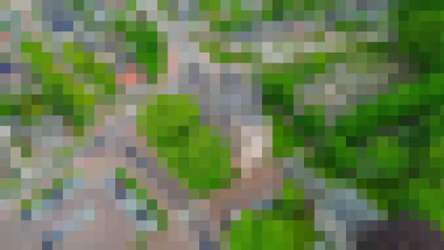 Kerkstraat 38 a Eersel thumbnail 33