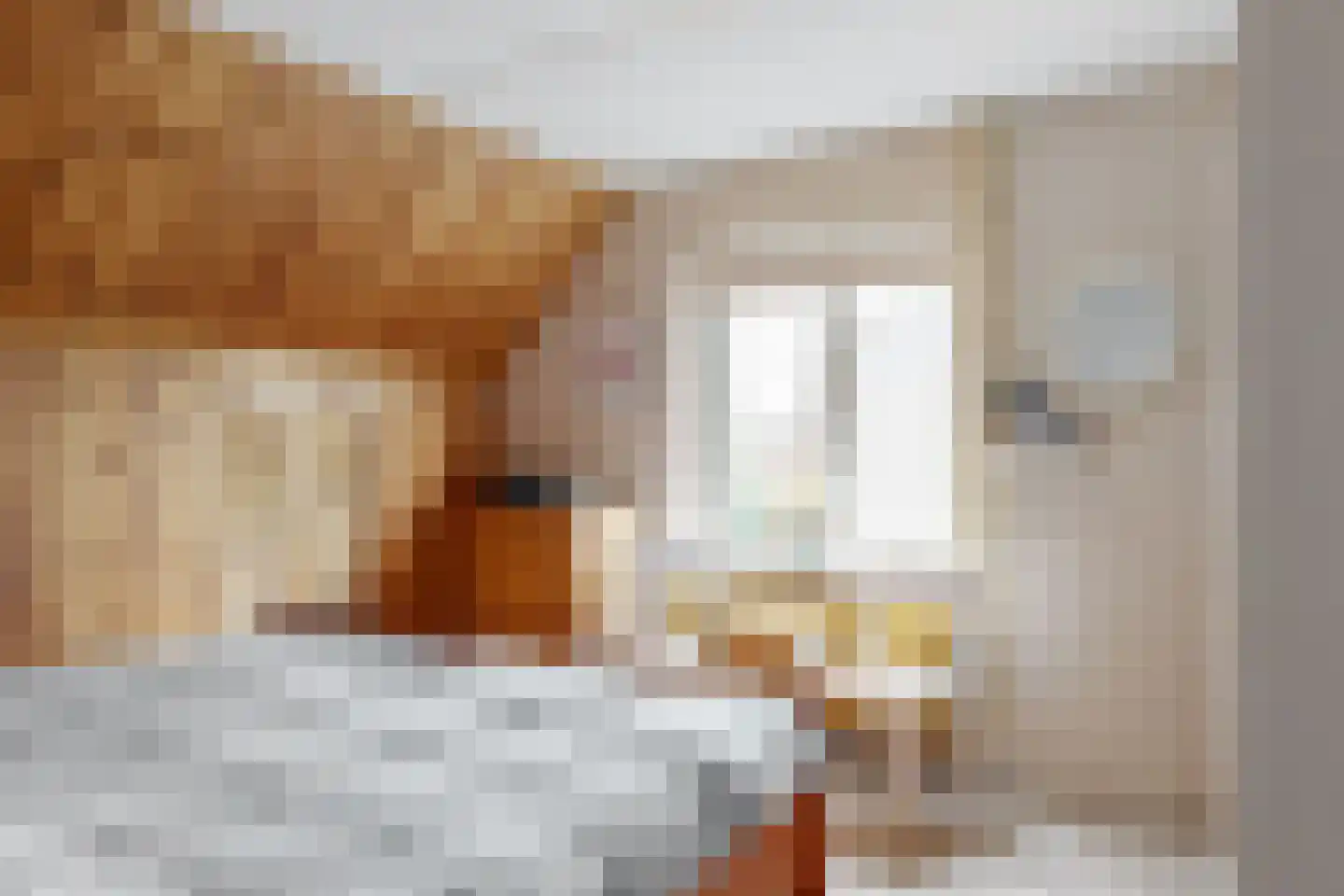 Kerkstraat 38 Driel thumbnail 20