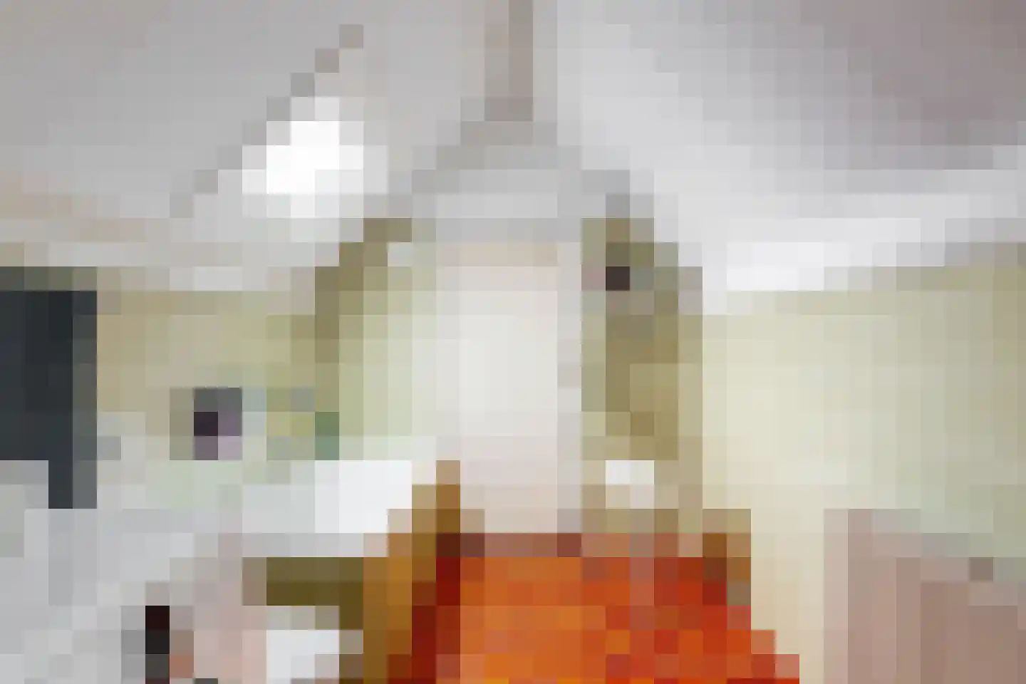 Kerkstraat 38 Driel thumbnail 27