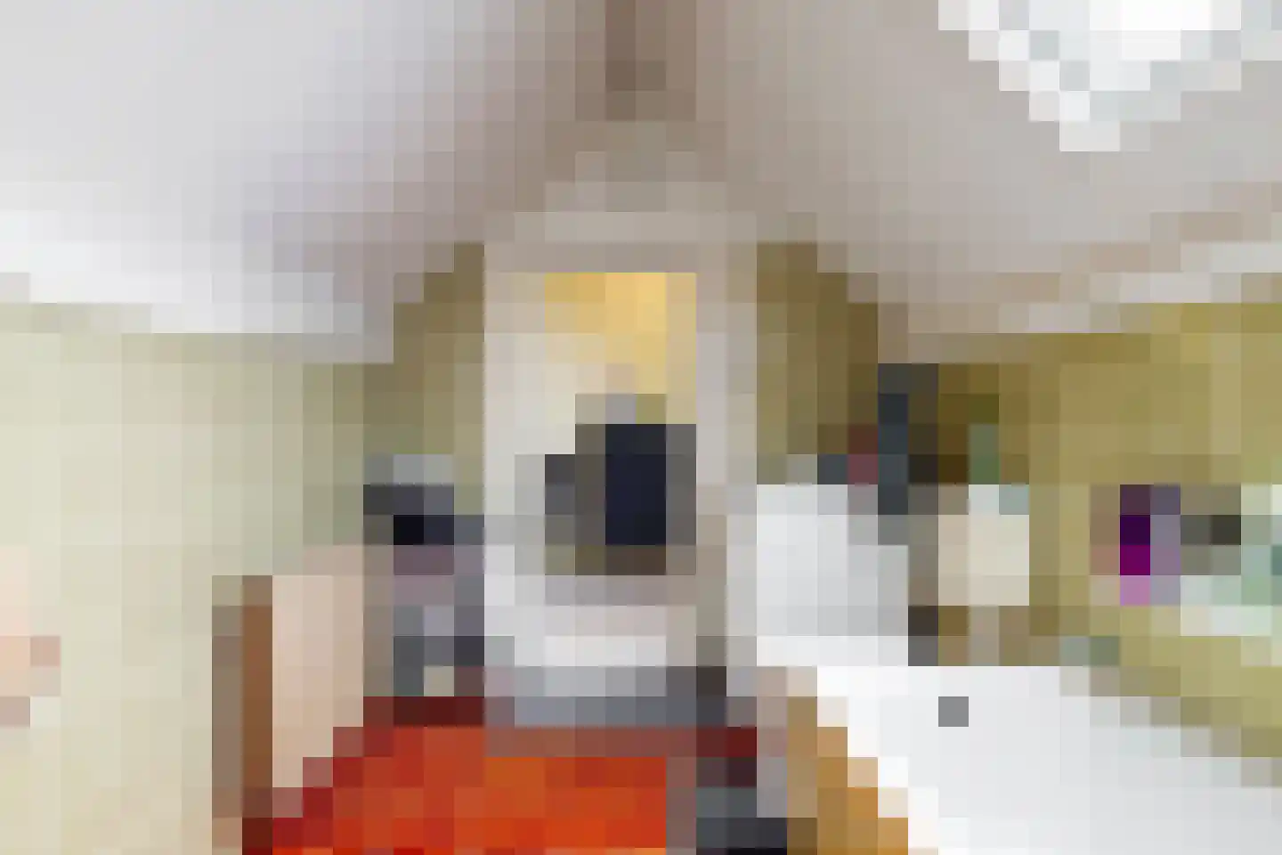 Kerkstraat 38 Driel thumbnail 28