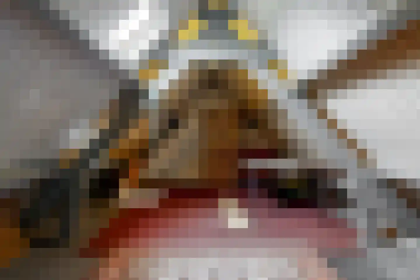 Kerkstraat 38 Driel thumbnail 32