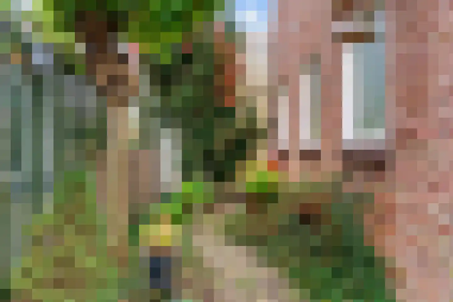 Kerkstraat 38 Driel thumbnail 33