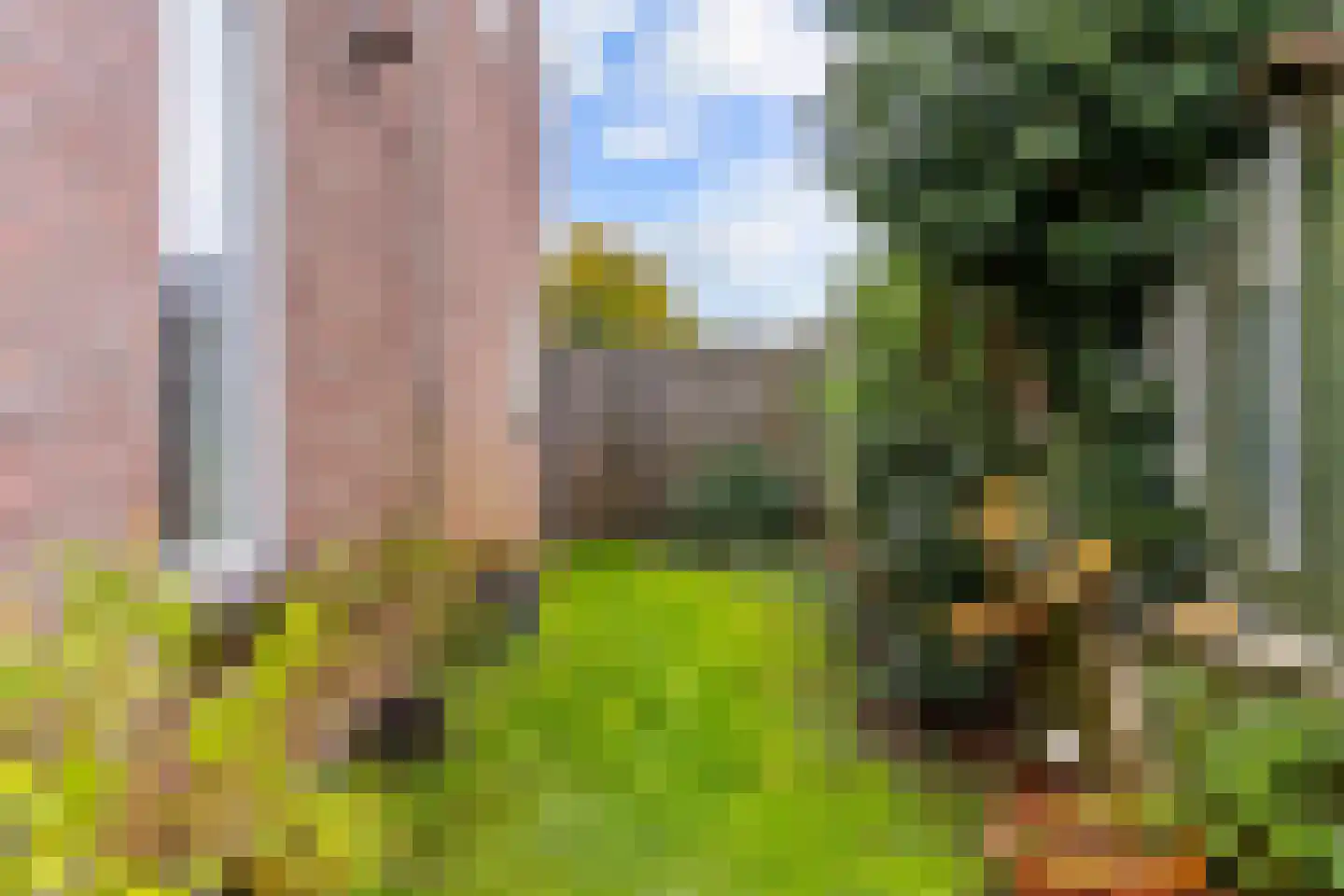 Kerkstraat 38 Driel thumbnail 35