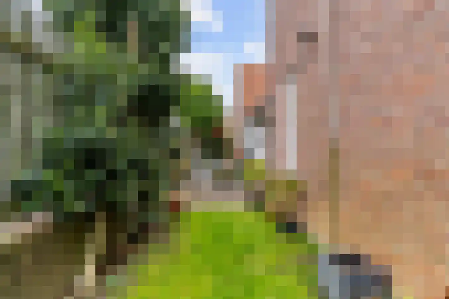 Kerkstraat 38 Driel thumbnail 36