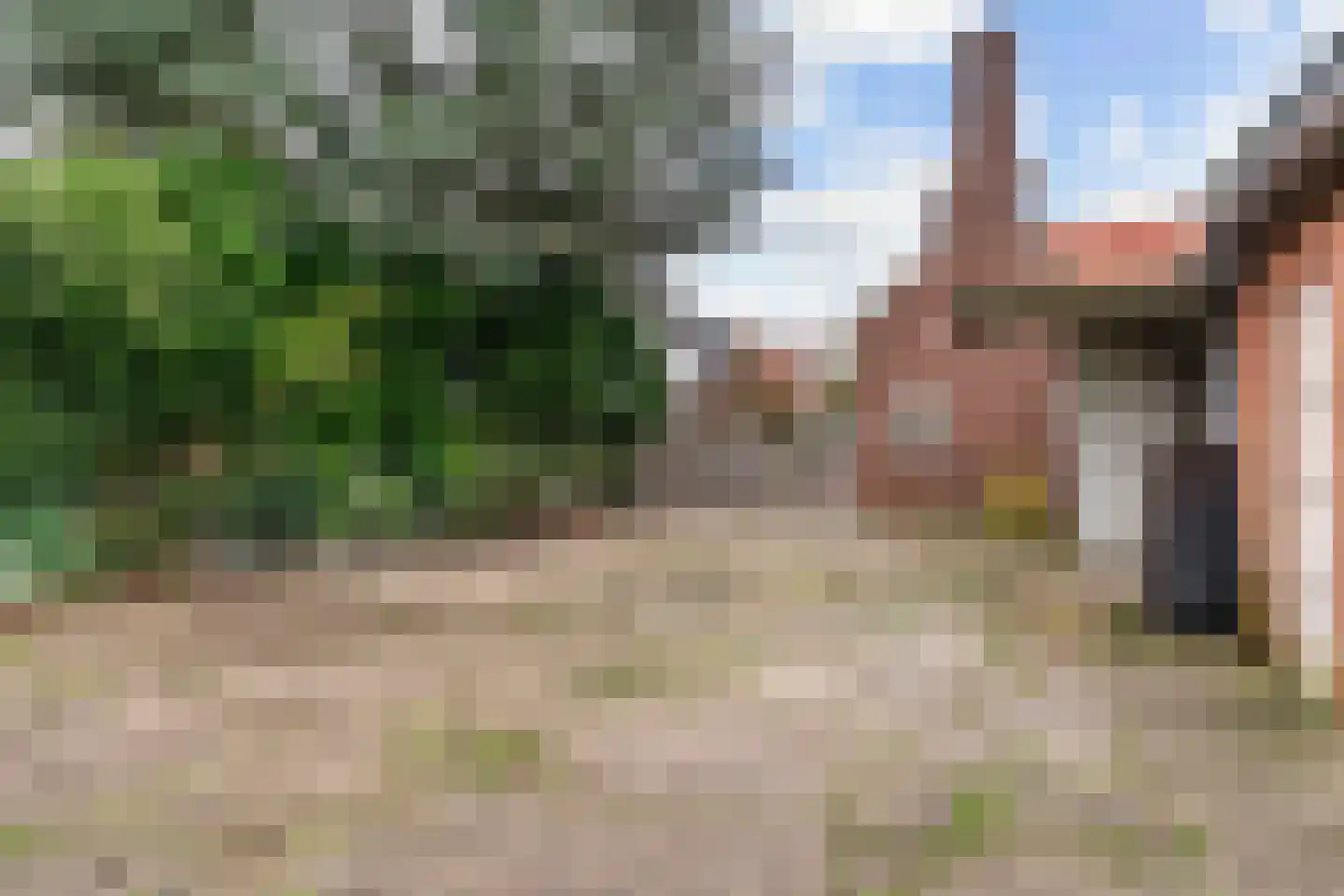 Kerkstraat 38 Driel thumbnail 38