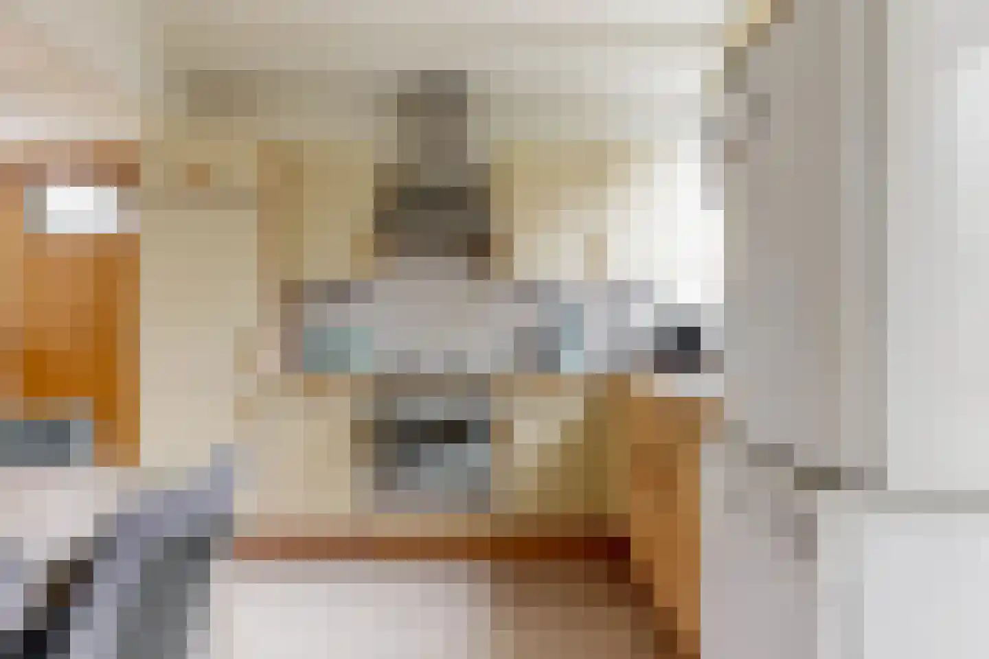 Kerkstraat 38 Driel thumbnail 7
