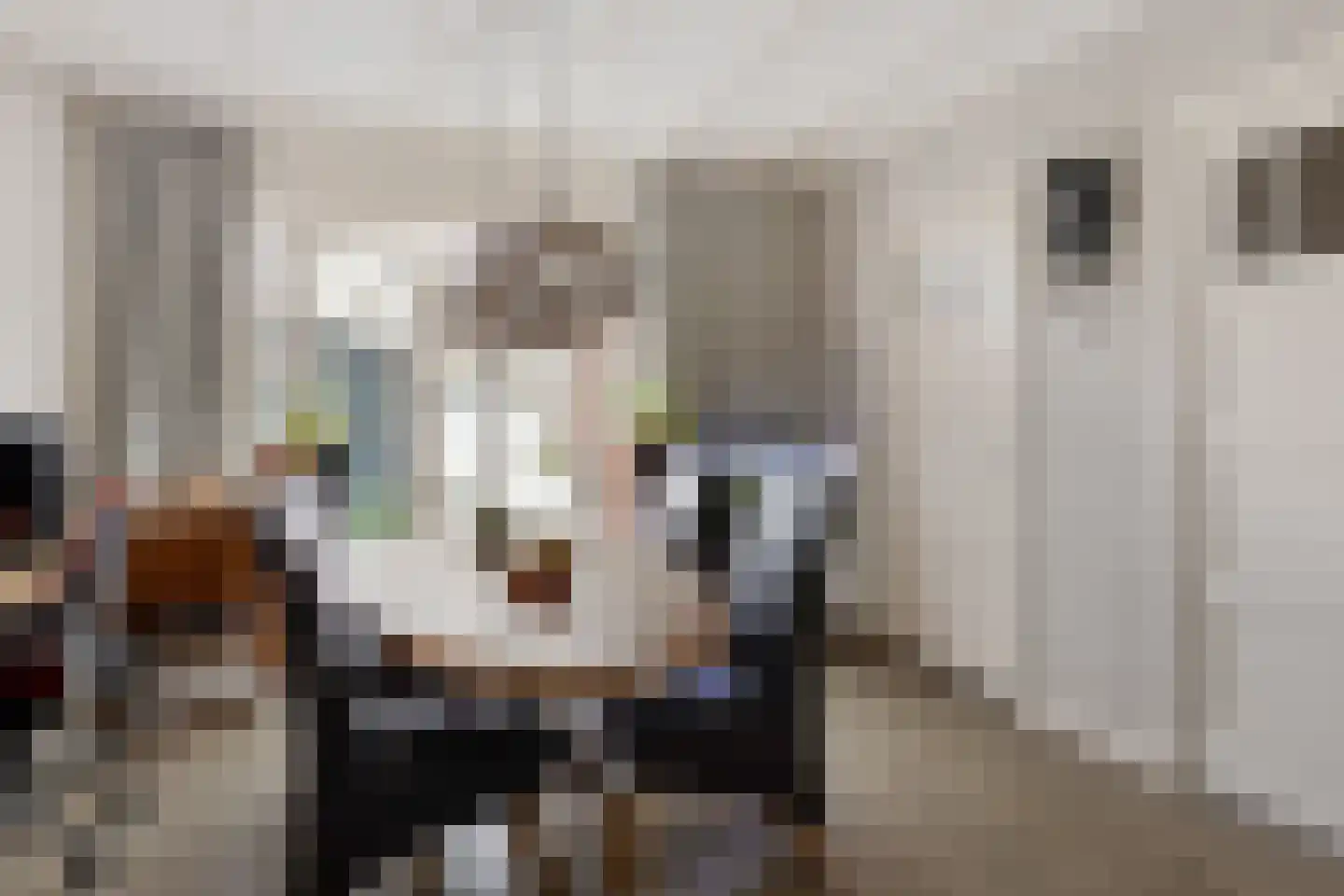 Kerkstraat 38 Groningen thumbnail 7