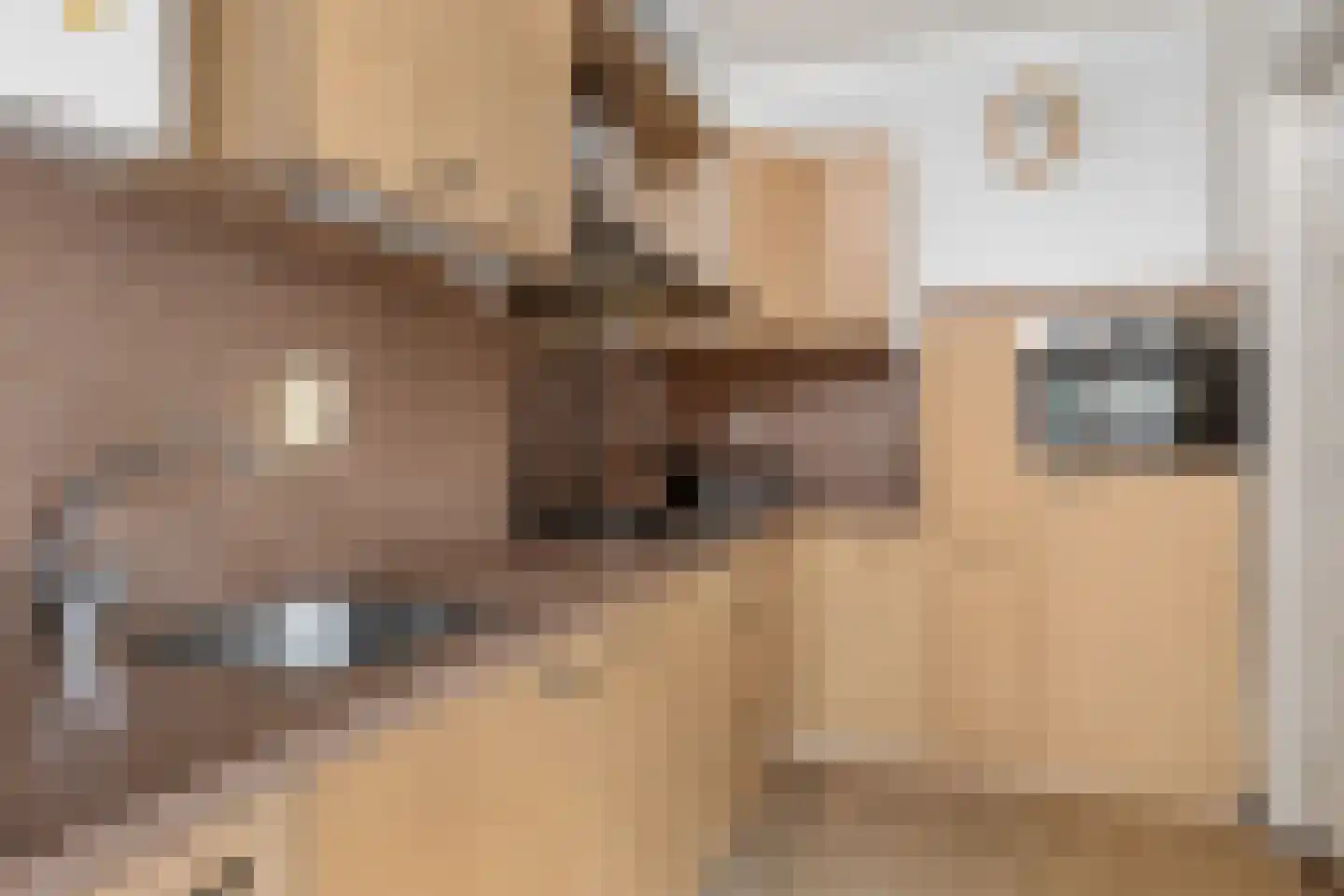 Kerkstraat 38 Groningen thumbnail 9
