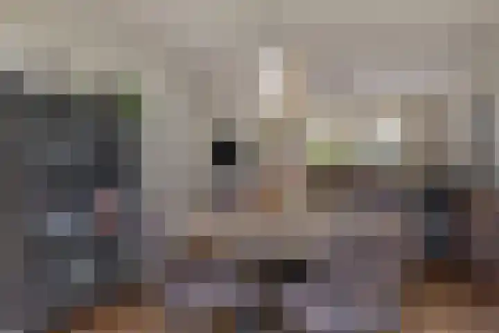 Kerkstraat 38 Lage Zwaluwe thumbnail 15