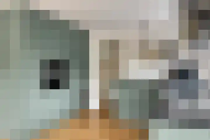 Kerkstraat 38 Lage Zwaluwe thumbnail 18