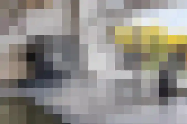 Kerkstraat 38 Lage Zwaluwe thumbnail 22