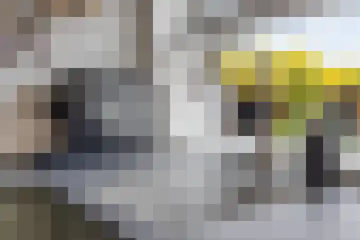Kerkstraat 38 Lage Zwaluwe thumbnail 23