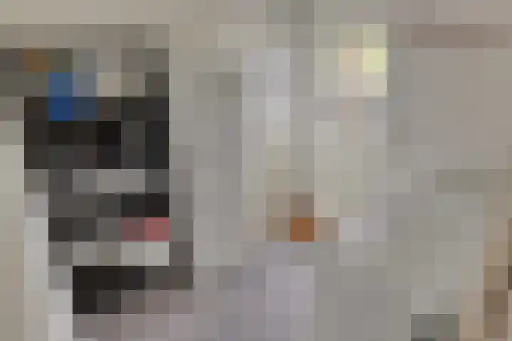 Kerkstraat 38 Lage Zwaluwe thumbnail 24