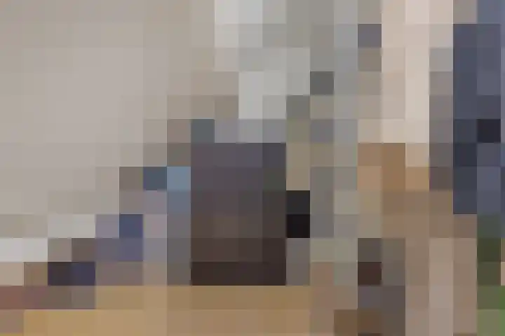 Kerkstraat 38 Lage Zwaluwe thumbnail 34