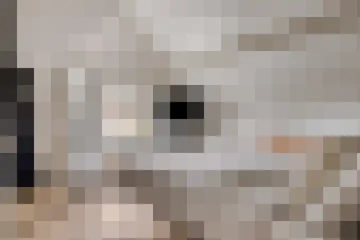 Kerkstraat 38 Lage Zwaluwe thumbnail 34