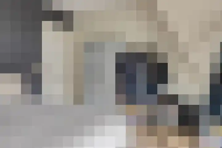 Kerkstraat 38 Lage Zwaluwe thumbnail 35