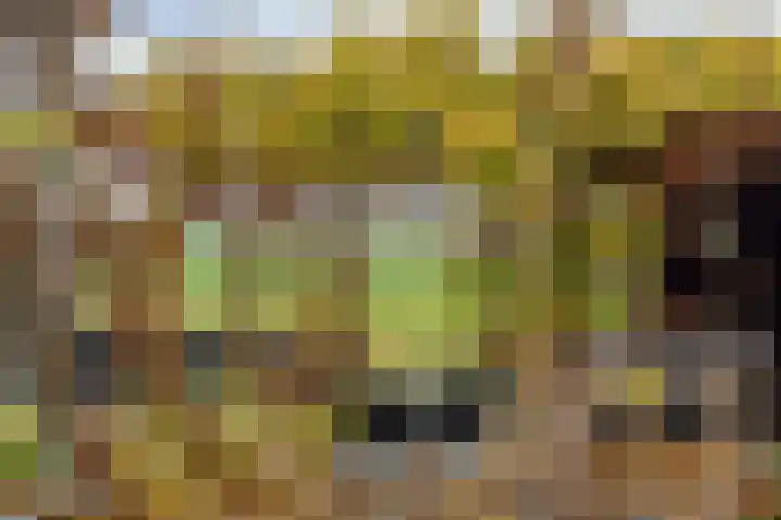 Kerkstraat 38 Lage Zwaluwe thumbnail 40