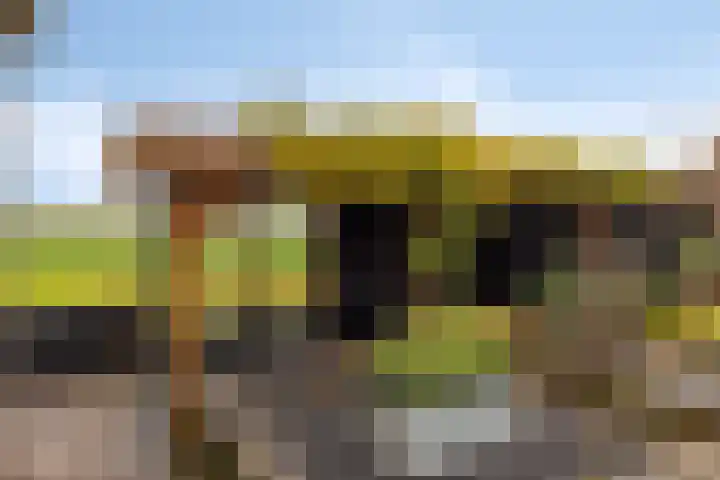 Kerkstraat 38 Lage Zwaluwe thumbnail 42