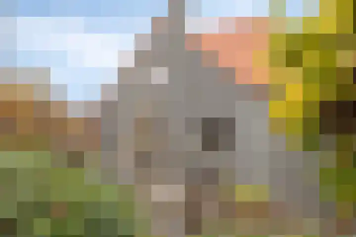 Kerkstraat 38 Lage Zwaluwe thumbnail 49