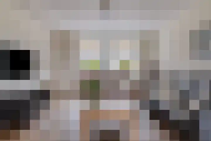 Kerkstraat 38 Lage Zwaluwe thumbnail 7