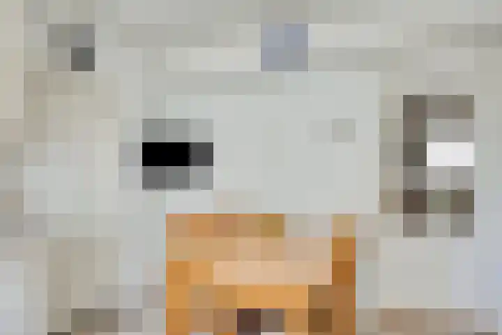 Kerkstraat 38 Maasbommel thumbnail 13
