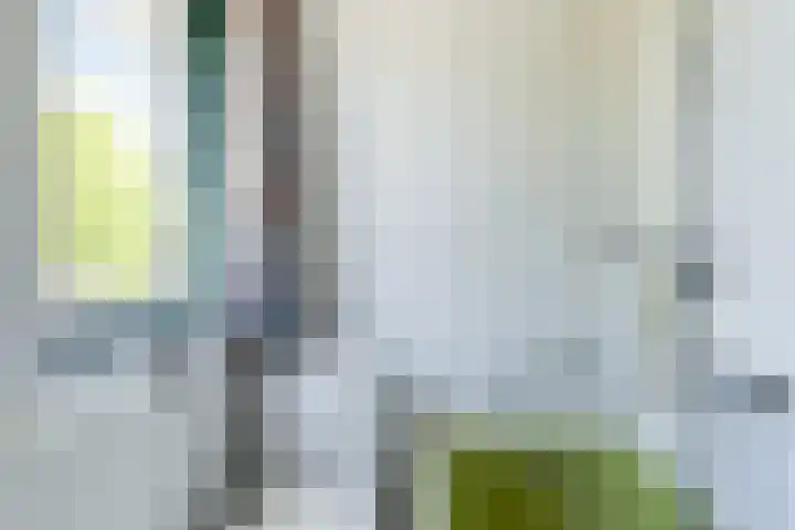 Kerkstraat 38 Maasbommel thumbnail 22