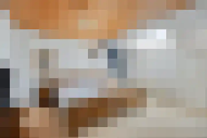 Kerkstraat 38 Maasbommel thumbnail 24