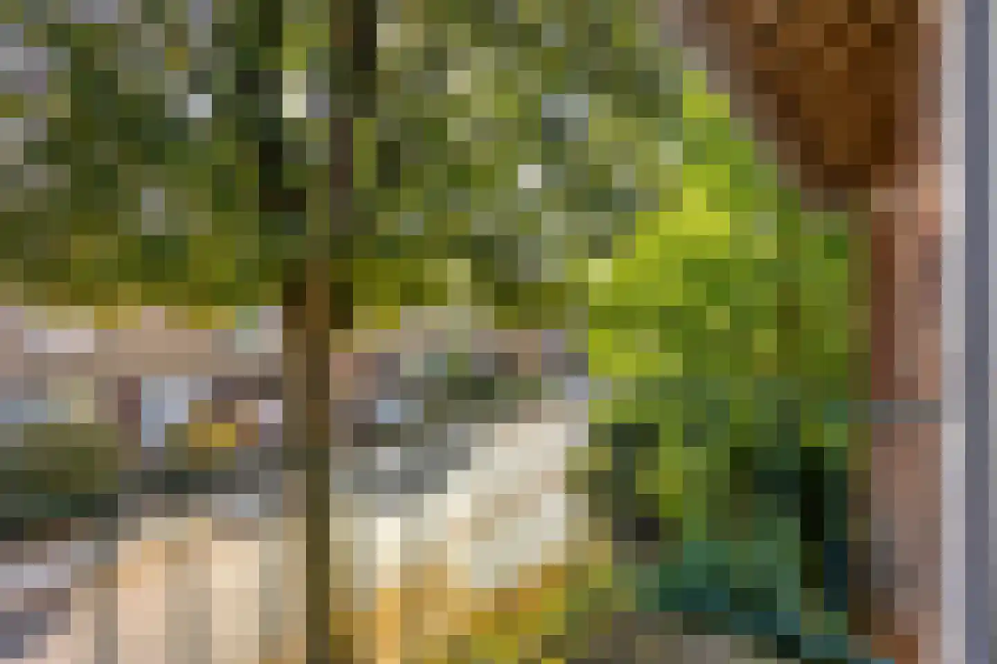 Kerkstraat 38 Munstergeleen thumbnail 42