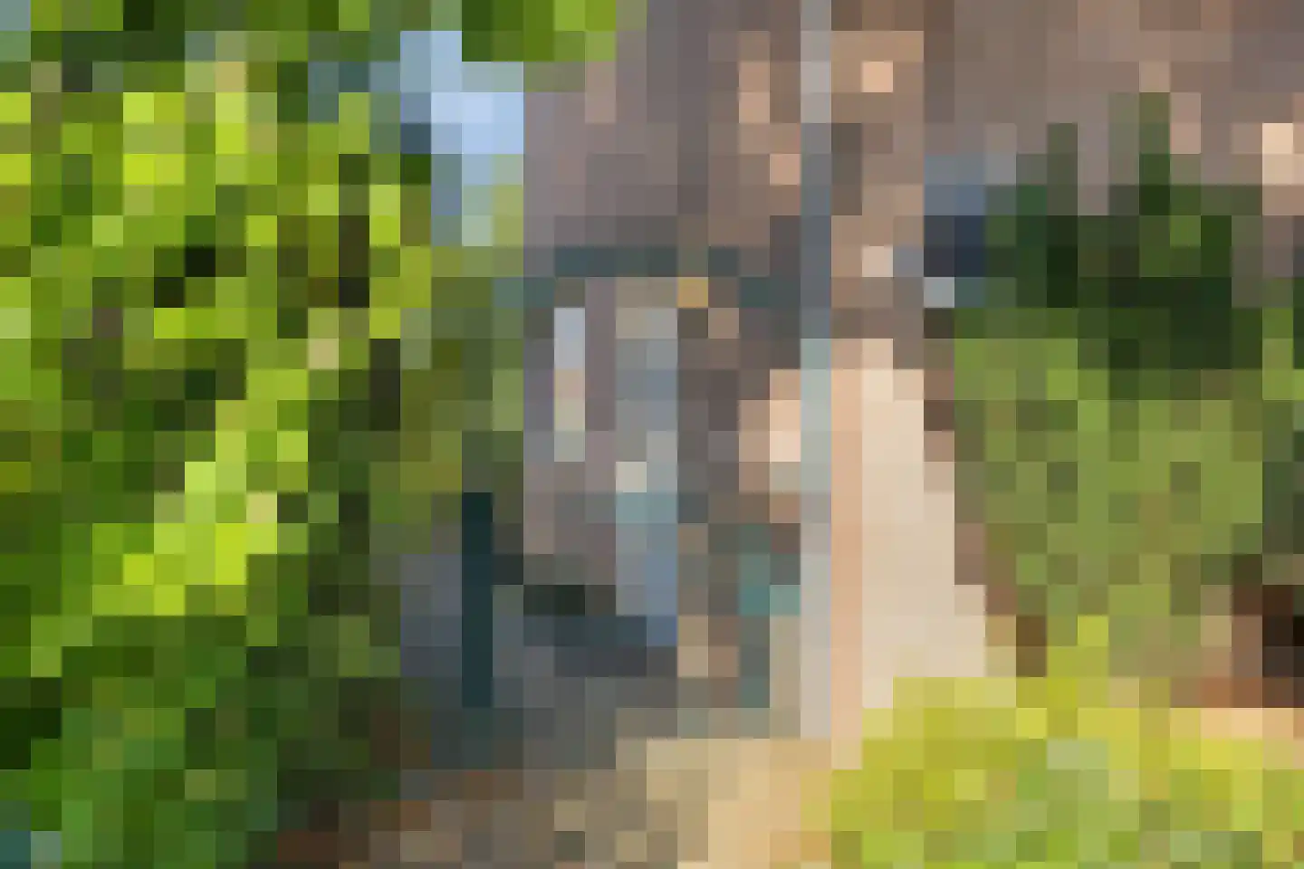 Kerkstraat 38 Munstergeleen thumbnail 7