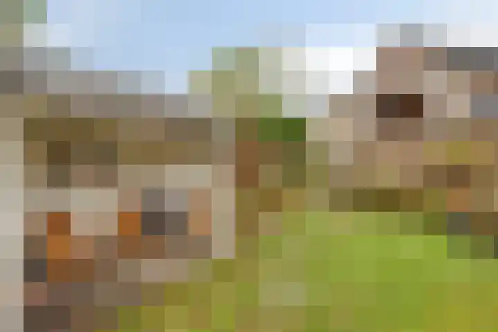 Kerkstraat 38 Voerendaal thumbnail 31