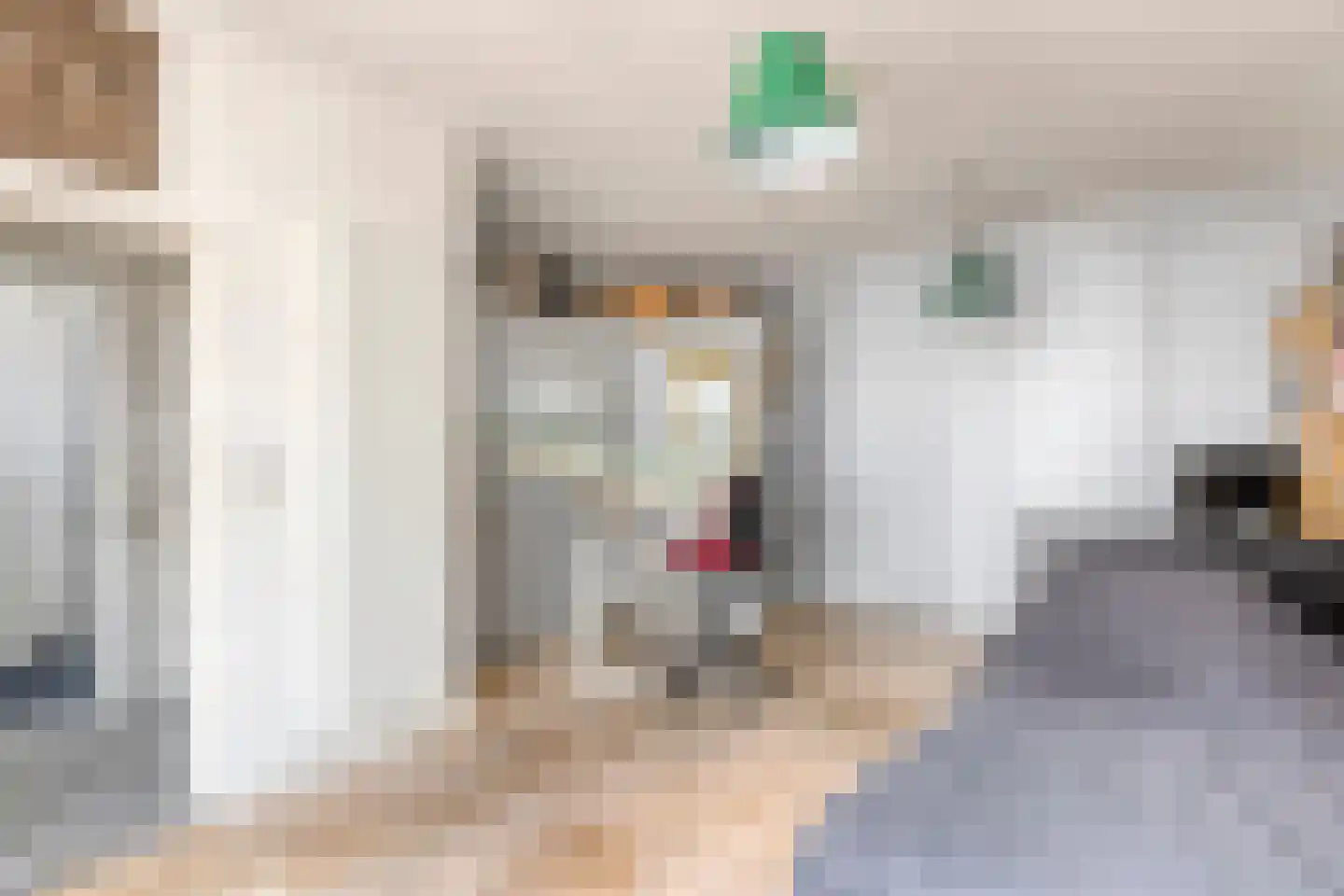 Kerkstraat 38 Zaltbommel thumbnail 11