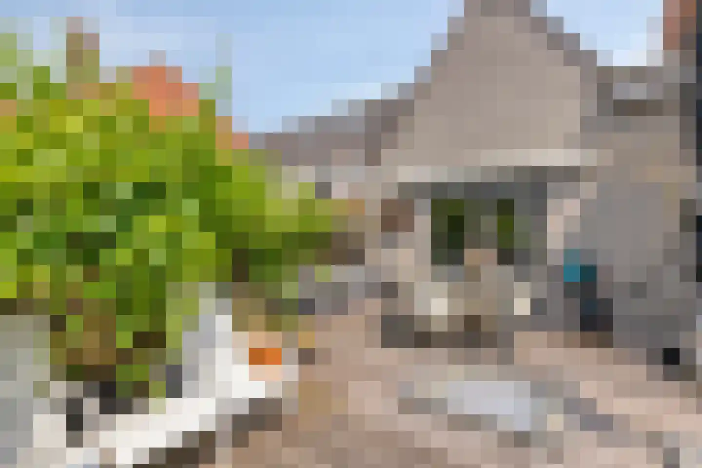 Kerkstraat 38 Zaltbommel thumbnail 18
