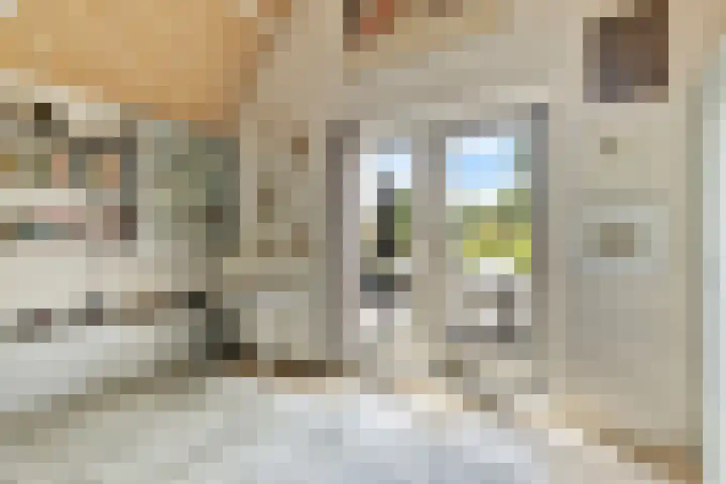 Kerkstraat 38 Zaltbommel thumbnail 21