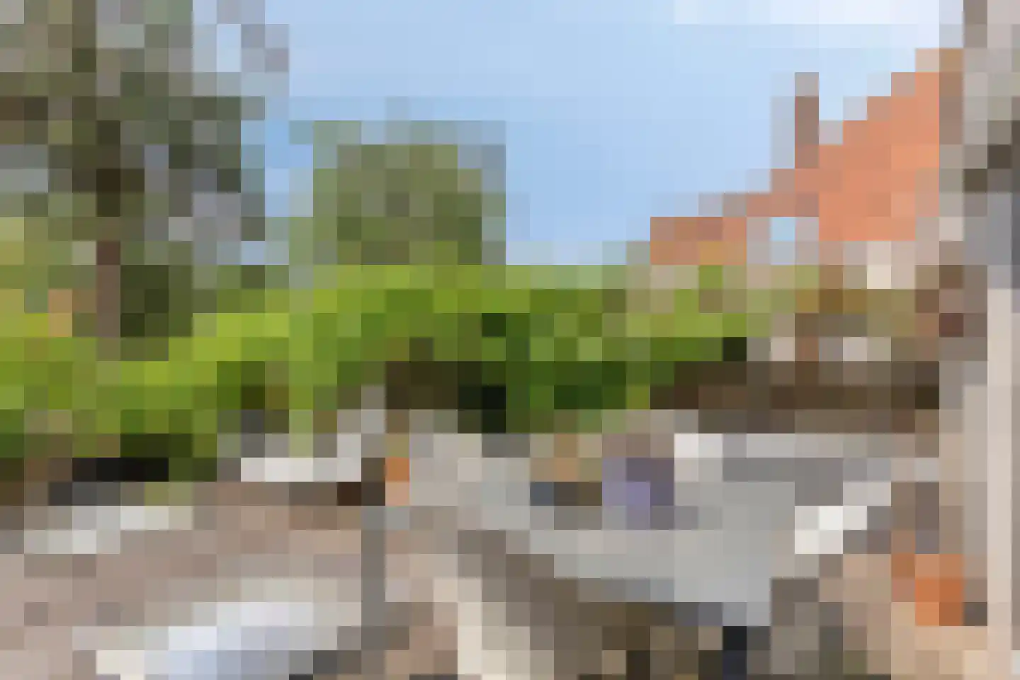 Kerkstraat 38 Zaltbommel thumbnail 30