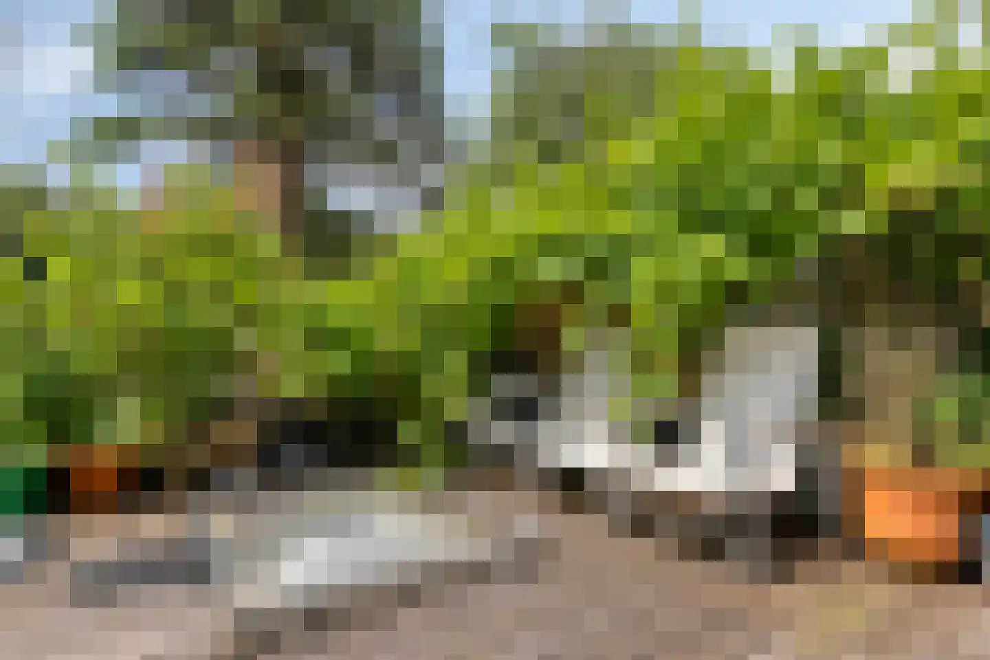Kerkstraat 38 Zaltbommel thumbnail 32