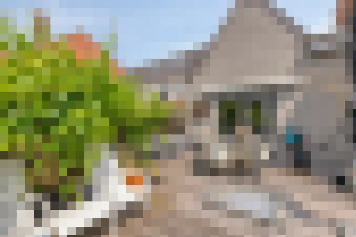 Kerkstraat 38 Zaltbommel thumbnail 33