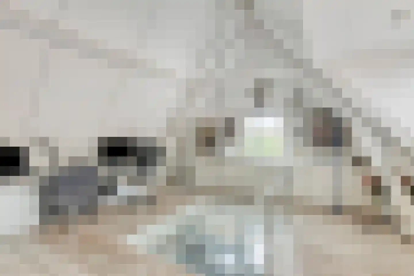 Kerkstraat 38 Zaltbommel thumbnail 6