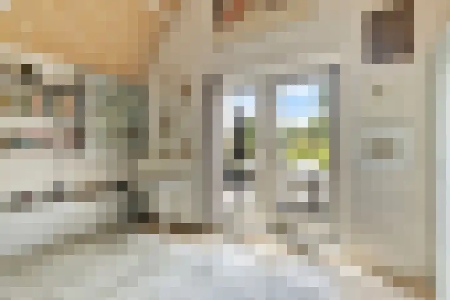 Kerkstraat 38 Zaltbommel thumbnail 7