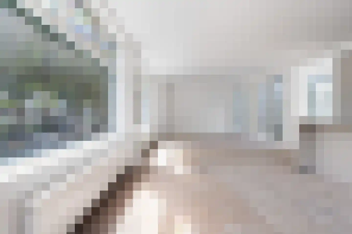Kerkstraat 38 Zevenbergen thumbnail 10