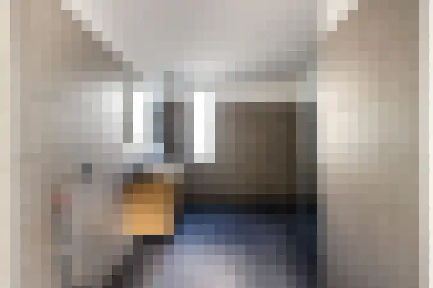 Kerkstraat 38 Zevenbergen thumbnail 18