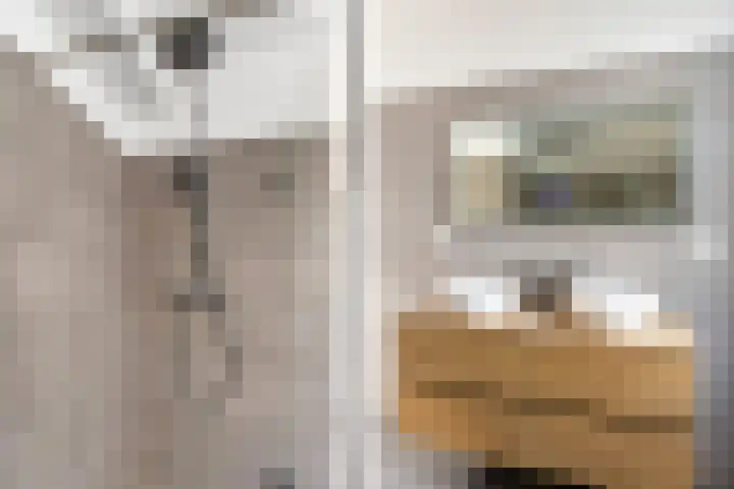 Kerkstraat 38 Zevenbergen thumbnail 21
