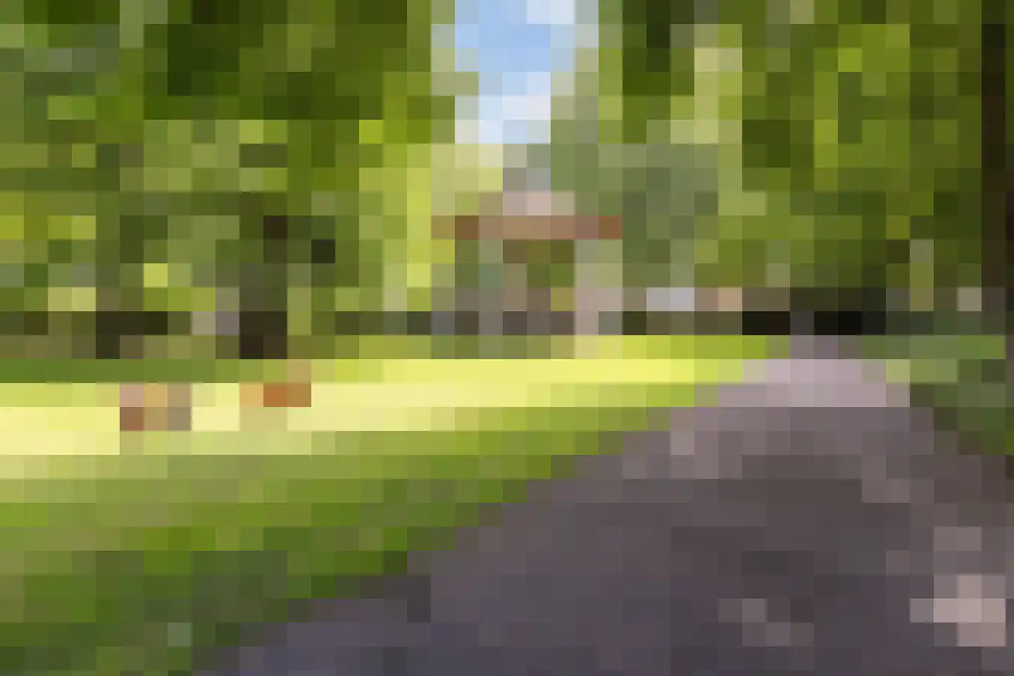 Kerkstraat 38 Zevenbergen thumbnail 38