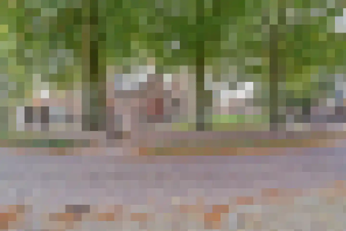 Kerkstraat 39 Diessen thumbnail 10