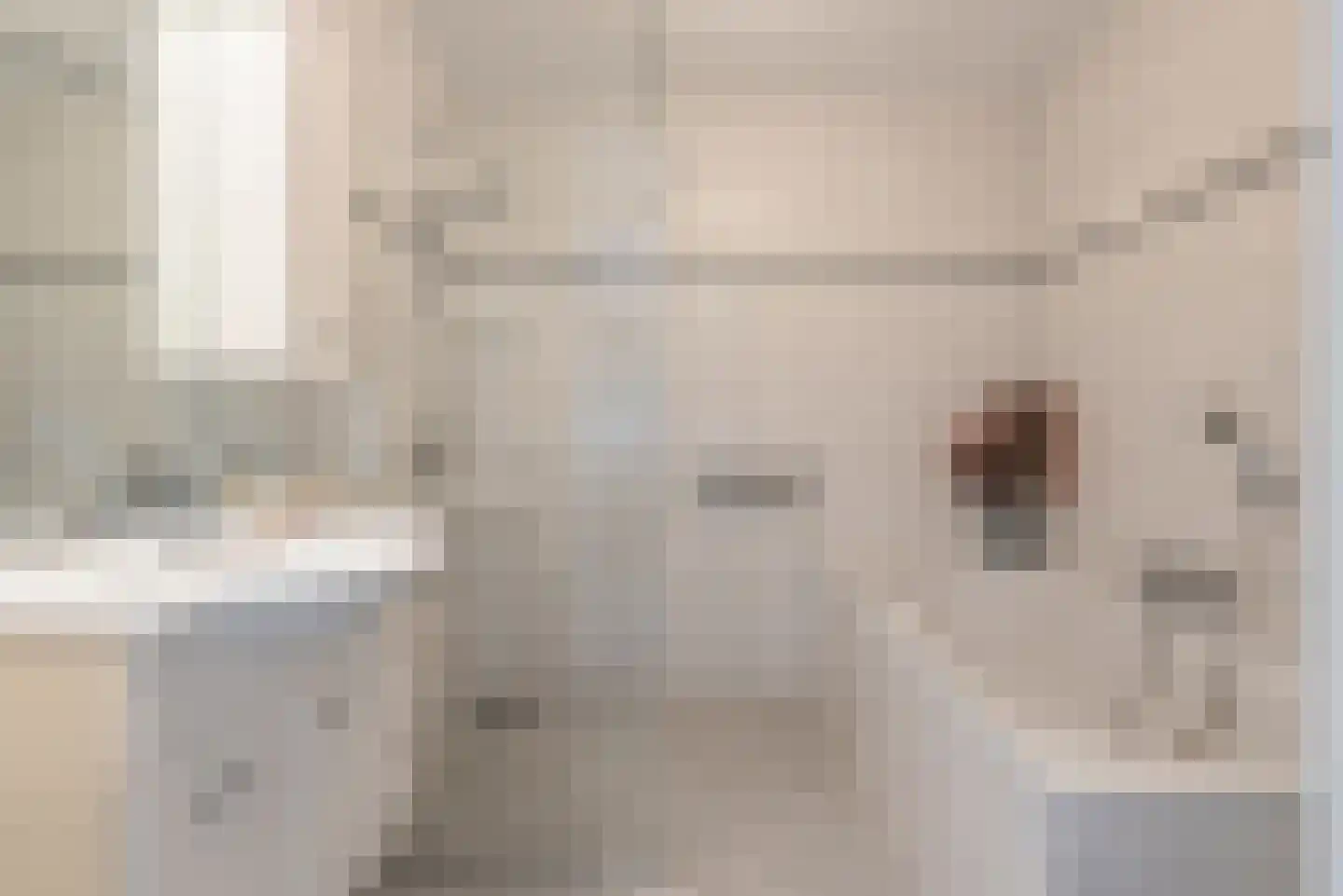Kerkstraat 39 Hoogmade thumbnail 12