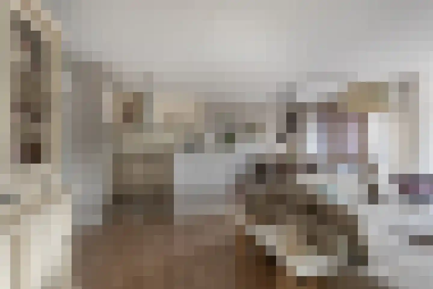 Kerkstraat 39 Hoogmade thumbnail 15