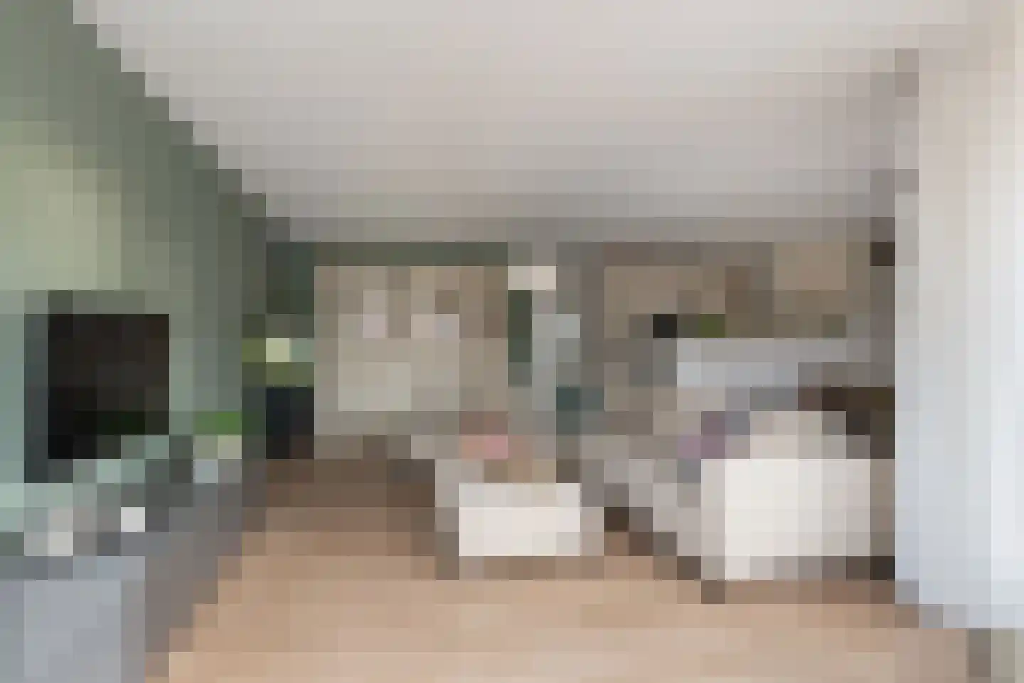 Kerkstraat 39 Hoogmade thumbnail 19
