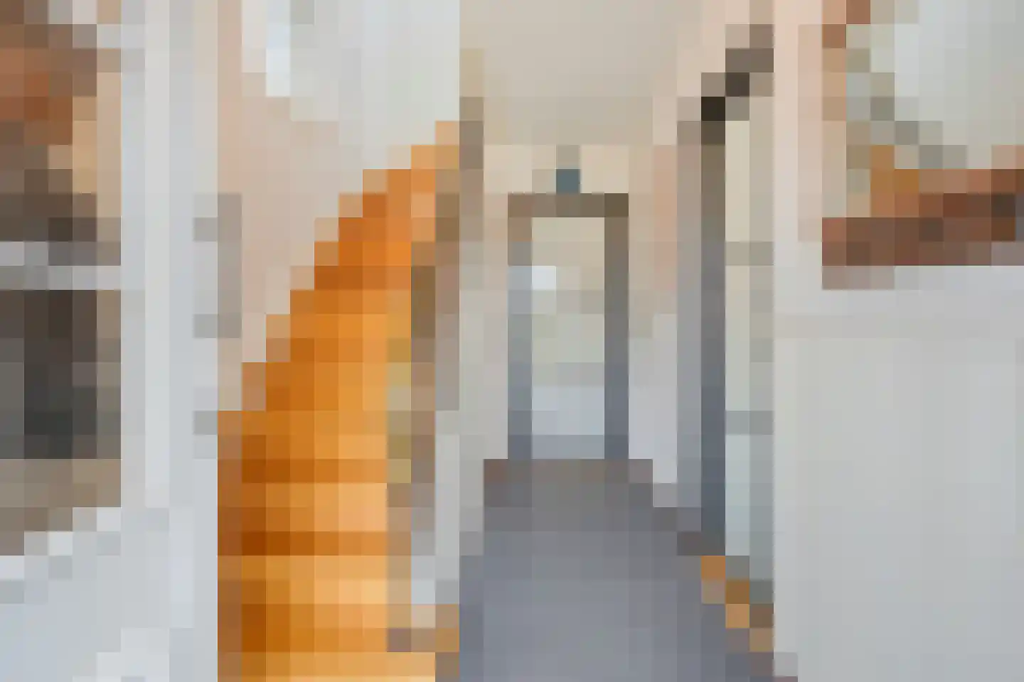 Kerkstraat 39 Koningsbosch thumbnail 19