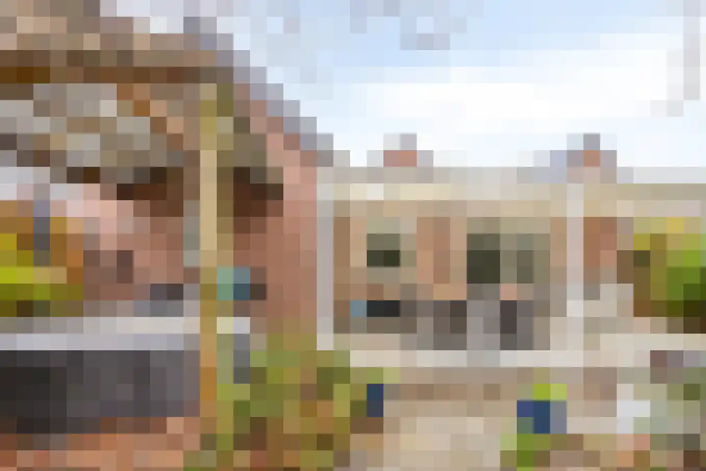 Kerkstraat 39 Koningsbosch thumbnail 28