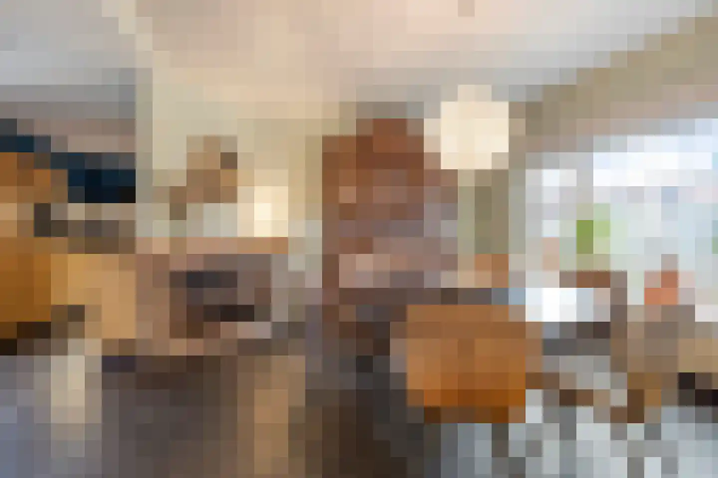 Kerkstraat 39 Koningsbosch thumbnail 7
