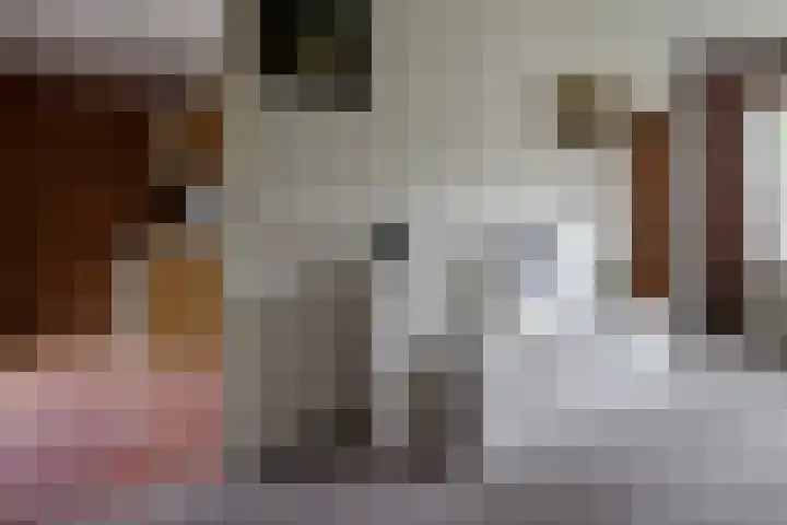 Kerkstraat 4 a Vriezenveen thumbnail 33